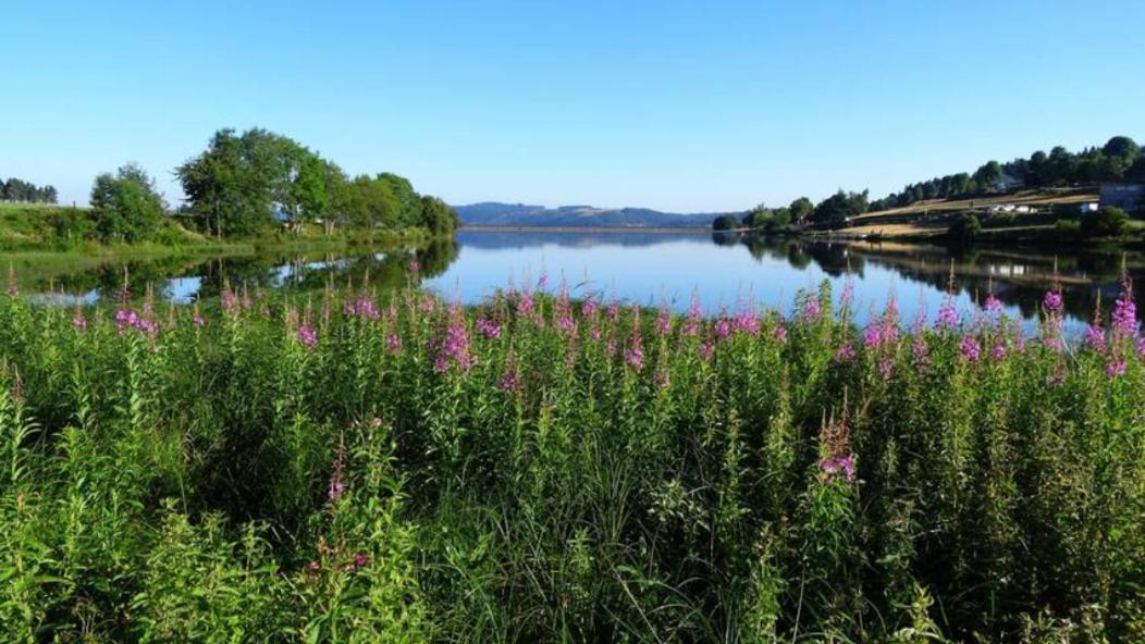 Lozere Aubrac Margeride Promo Διαμέρισμα Saint-Alban-sur-Limagnole Εξωτερικό φωτογραφία