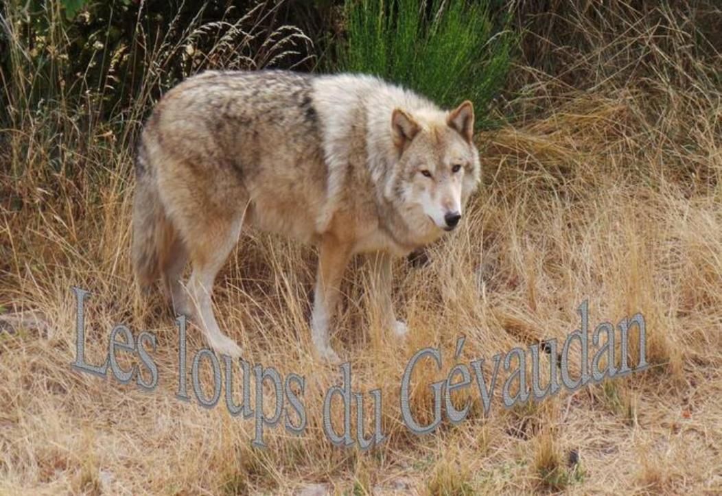 Lozere Aubrac Margeride Promo Διαμέρισμα Saint-Alban-sur-Limagnole Εξωτερικό φωτογραφία