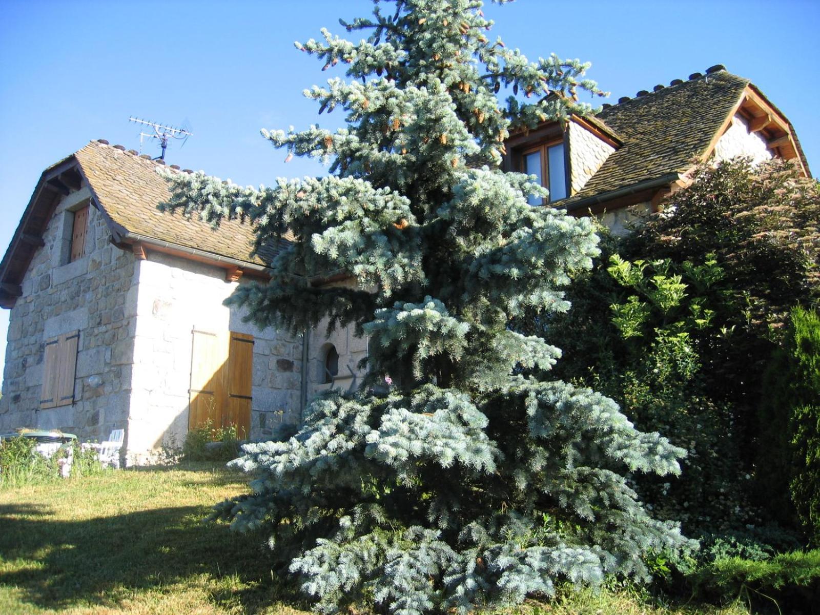 Lozere Aubrac Margeride Promo Διαμέρισμα Saint-Alban-sur-Limagnole Εξωτερικό φωτογραφία