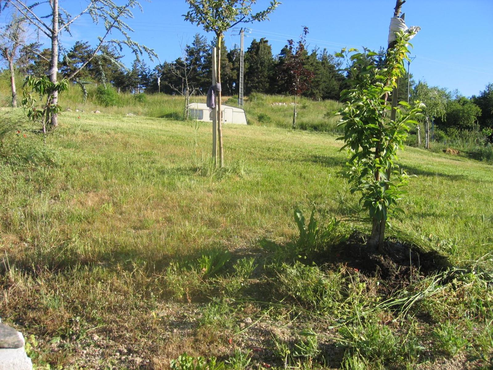 Lozere Aubrac Margeride Promo Διαμέρισμα Saint-Alban-sur-Limagnole Εξωτερικό φωτογραφία